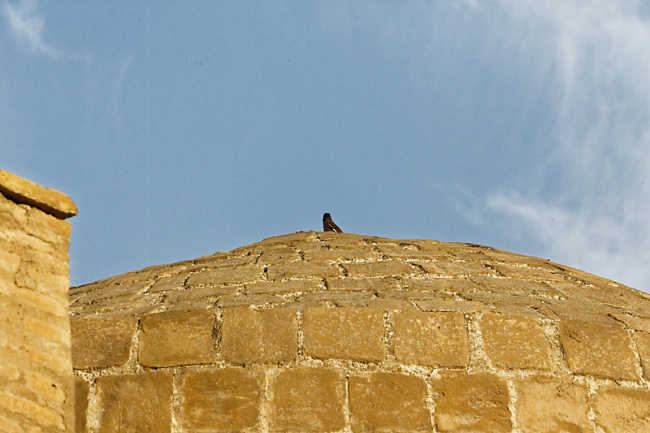 Ballade dans Khiva-065